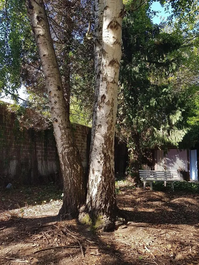 B&B 1 Uit De 100 Γάνδη